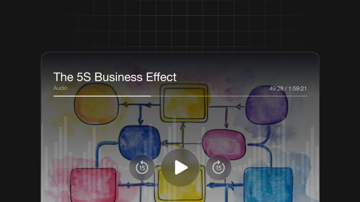 The 5S Business Effect - Audio