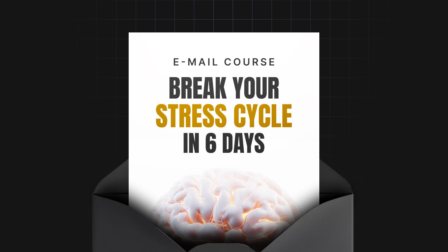 Break Your Stress Cycle in 6 Days - Mini Course
