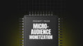 Micro-Audience Monetization - Prompt Pack