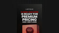 13 Signs Your Offer Is Ready for Premium Pricing - Mini Course