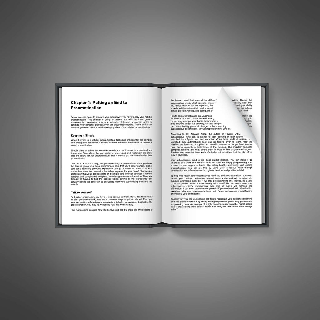 Conquer Procrastination - E-Book