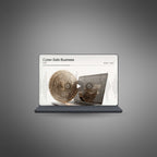 Cyber-Safe Business - Audio