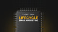 Lifecycle Email Marketing - Prompt Pack