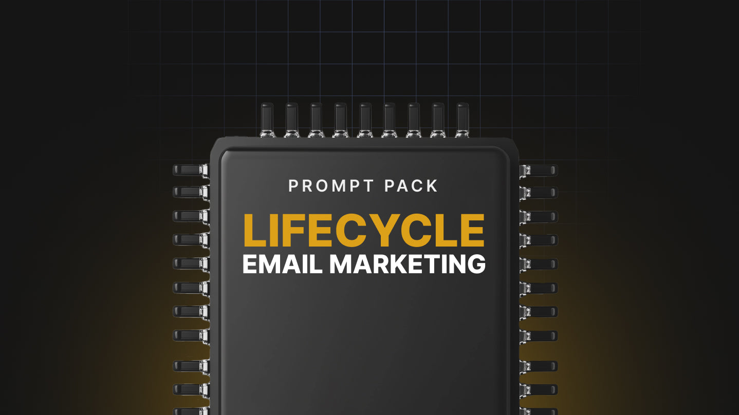 Lifecycle Email Marketing - Prompt Pack