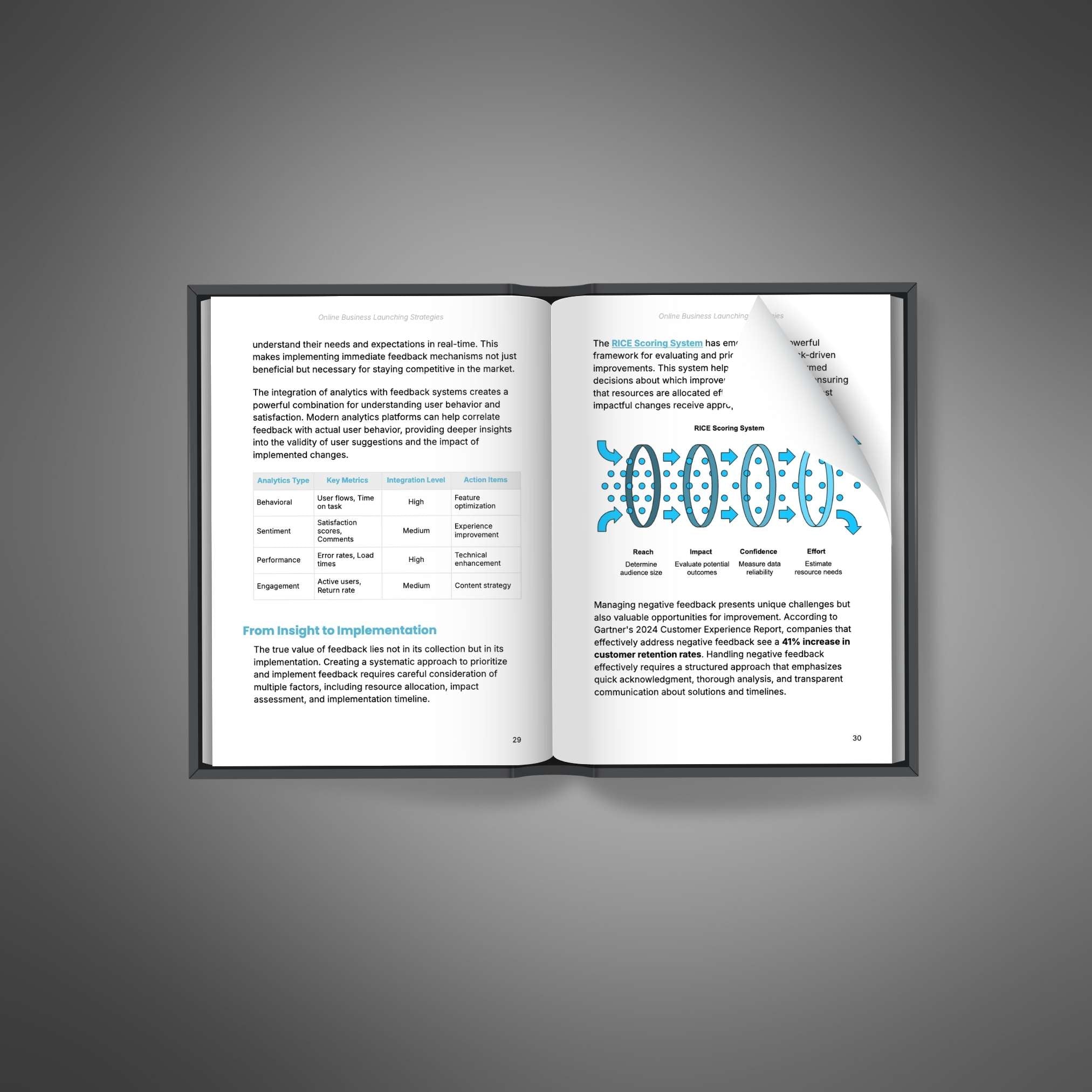 Online Business Launching Strategies - Ebook