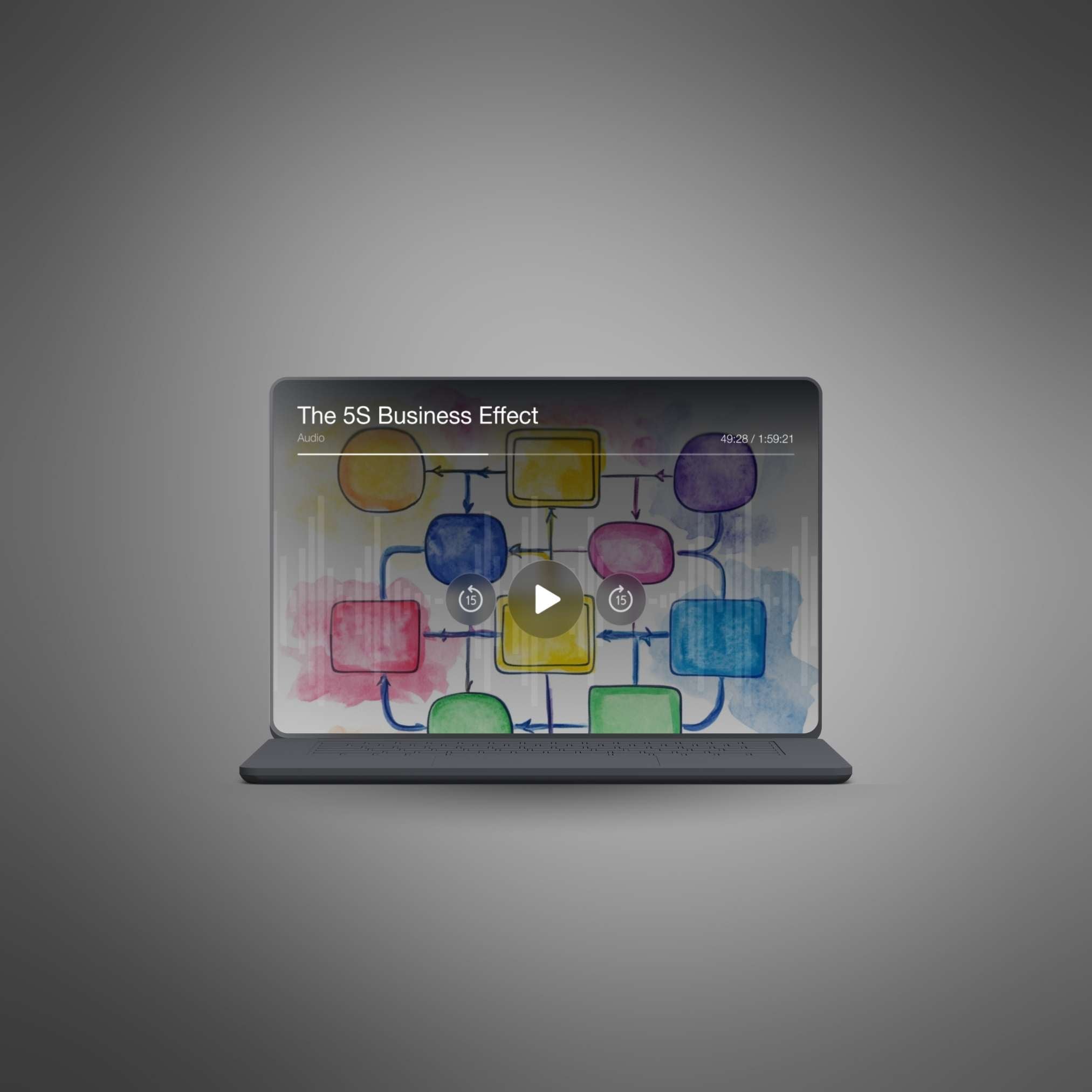 The 5S Business Effect - Audio