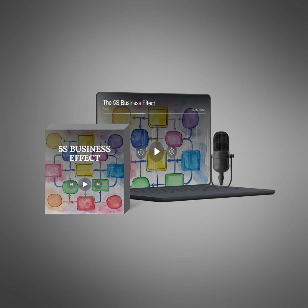 The 5S Business Effect - Audio