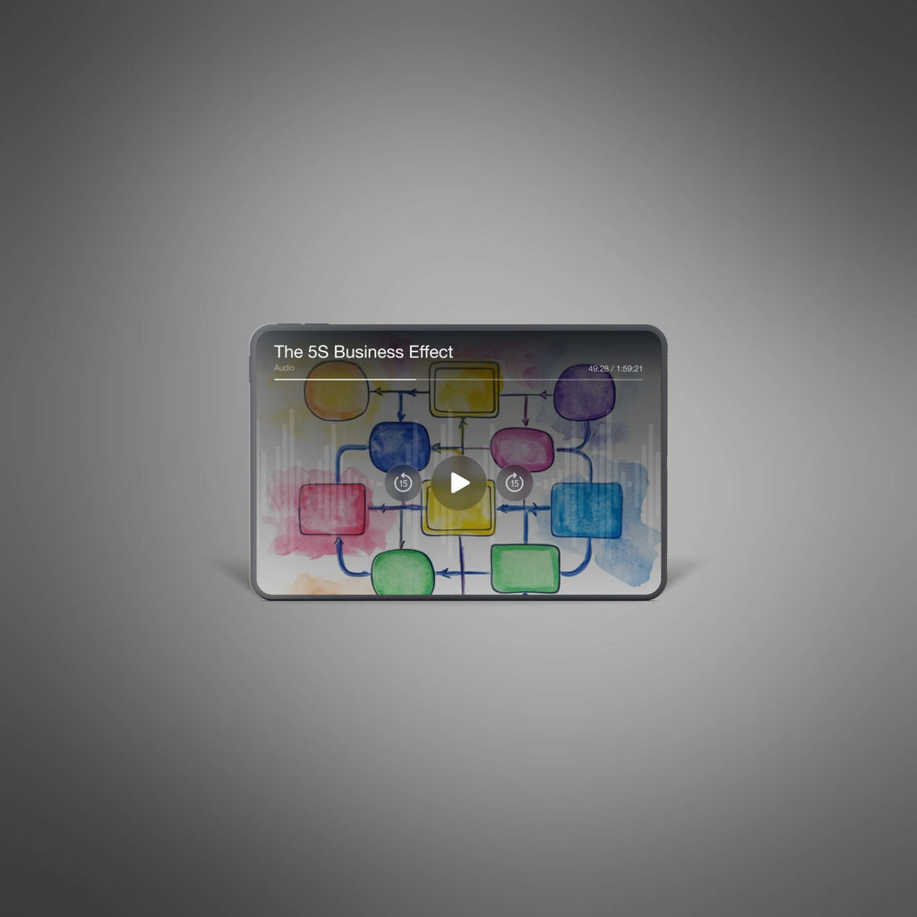 The 5S Business Effect - Audio
