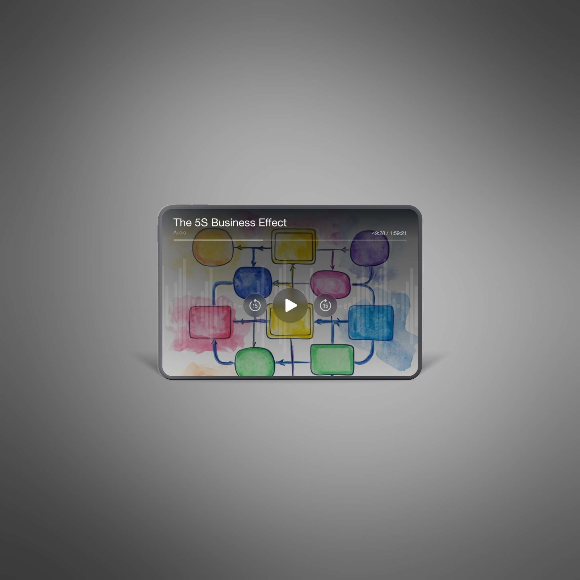 The 5S Business Effect - Audio